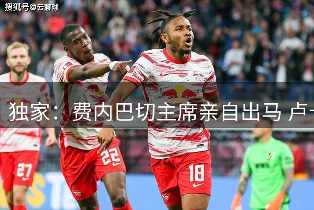 独家：费内巴切主席亲自出马 卢卡库转会谈判进入关键阶段
